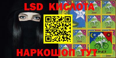 амф Сланцы
