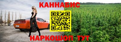 амф Сланцы