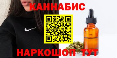 амф Сланцы