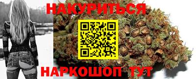 амф Сланцы