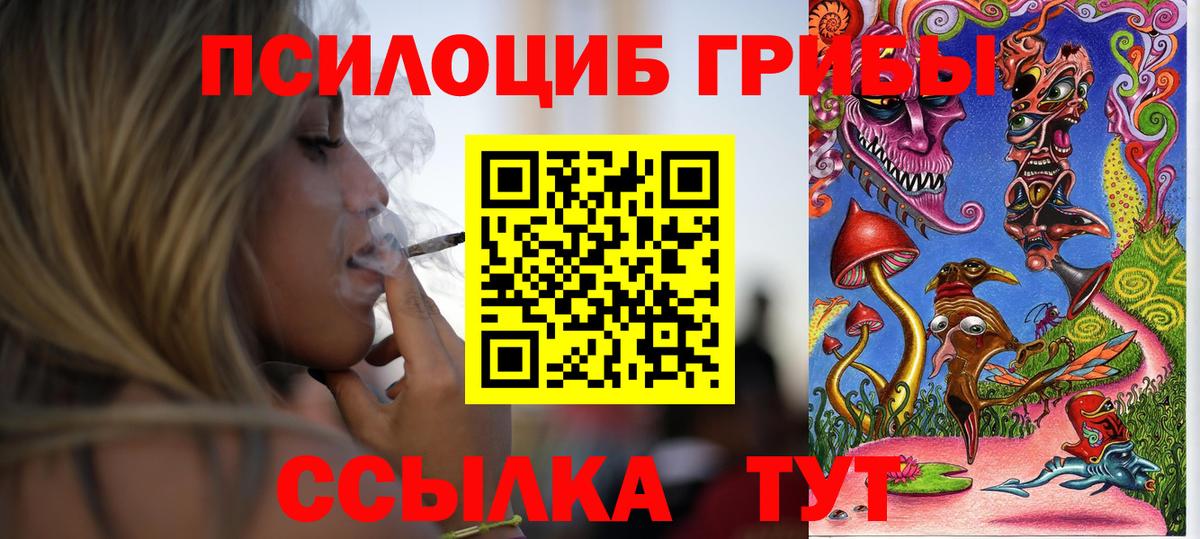 Псилоцибиновые грибы прущие грибы Борисоглебск