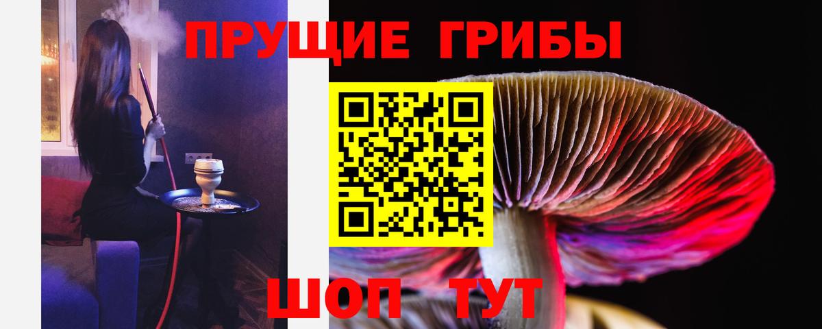 Борисоглебск  наркотики  Псилоцибиновые грибы MAGIC MUSHROOMS  Вход с VPN  Псилоцибиновые грибы Magic Shrooms 